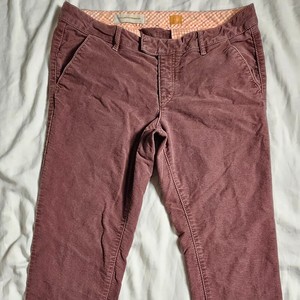 Pilcro and the Letterpress Chino Pants Women's 31 Brown Stretch